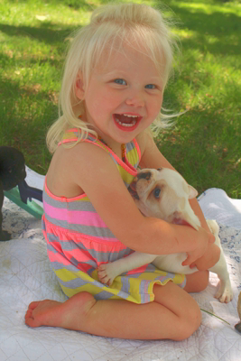 wendy ,steffensmeier, dog, breeder, child, rogersville, mo, missouri, french, bulldog, bull, wendysteffensmeier, dogbreeder